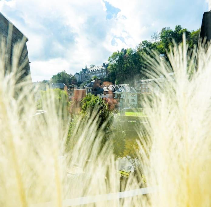 Le Comble Amoureux La-Roche-en-Ardenne Exterior foto